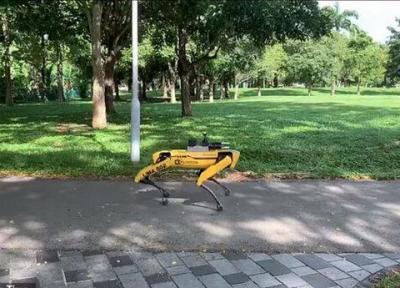 یادآوری فاصله گذاری اجتماعی در سنگاپور با سگ روباتیک
