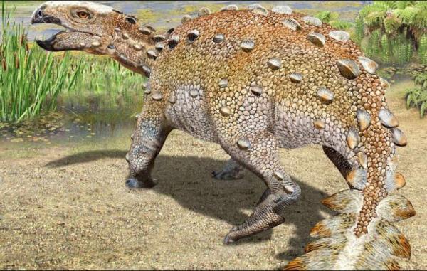 دم عجیب دایناسور کشف شده در شیلی دانشمندان را سردرگم نموده است