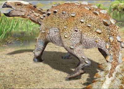دم عجیب دایناسور کشف شده در شیلی دانشمندان را سردرگم نموده است