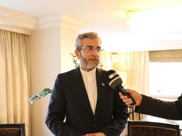 باقری: پیشرفت های خوبی در مورد رفع تحریم ها صورت گرفته ، باقری: پیشرفت های خوبی در خصوص برطرف تحریم ها انجام شده ، تنفس مذاکرات بمناسبت تعطیلات سرانجام سال میلادی